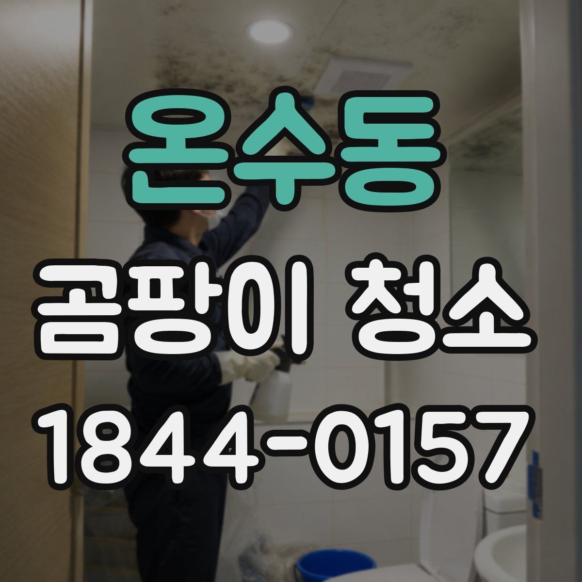 온수동 곰팡이 청소 포자 번짐을 줄이는 닦기 순서와 준비