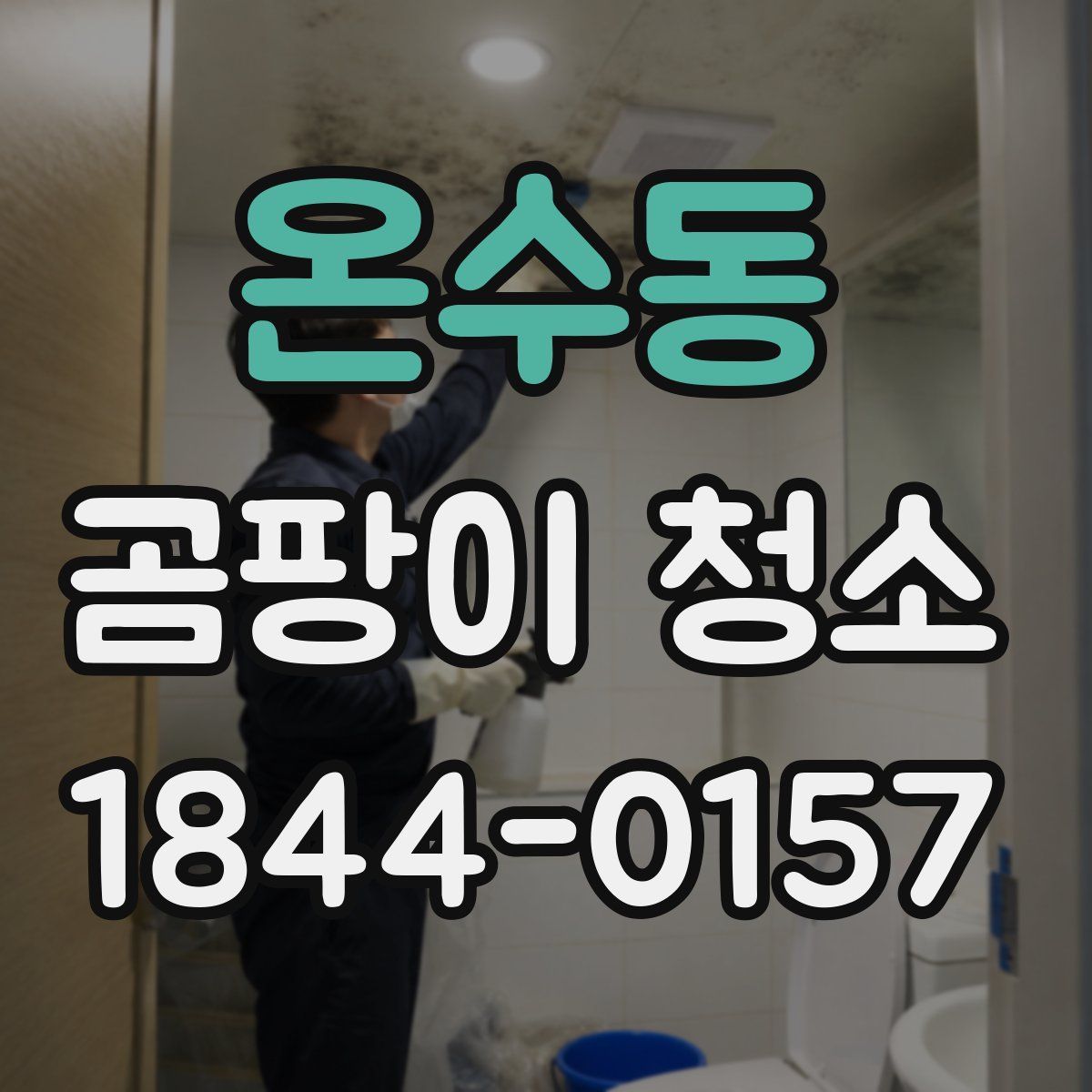 온수동 곰팡이 청소