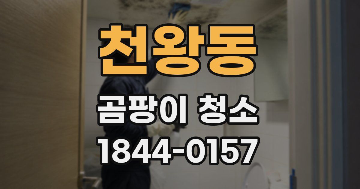 천왕동 곰팡이 청소