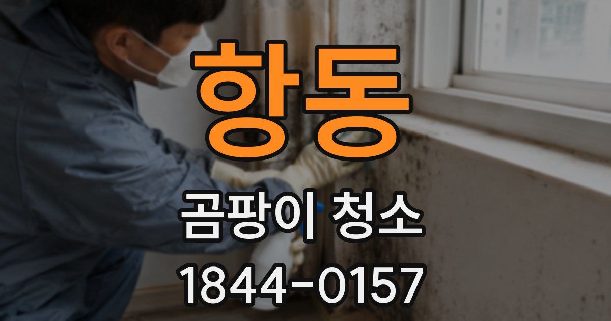 항동 곰팡이 청소