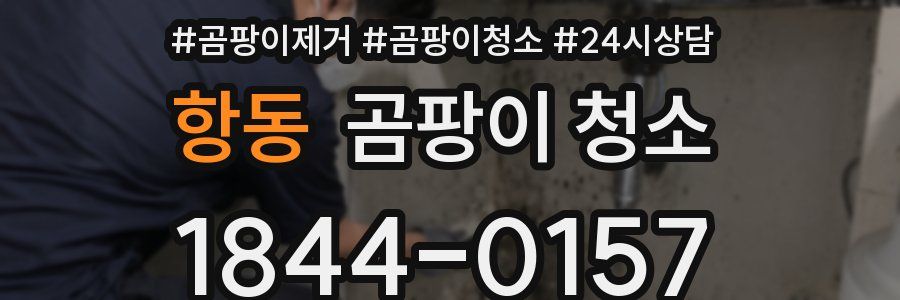 항동 곰팡이 청소