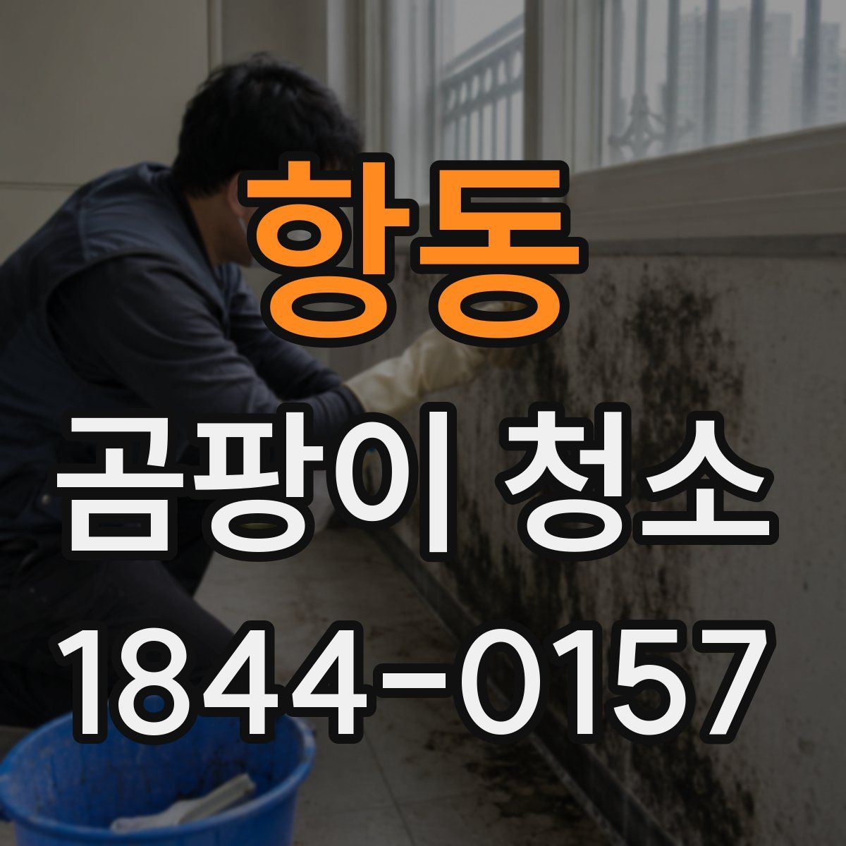 항동 곰팡이 청소