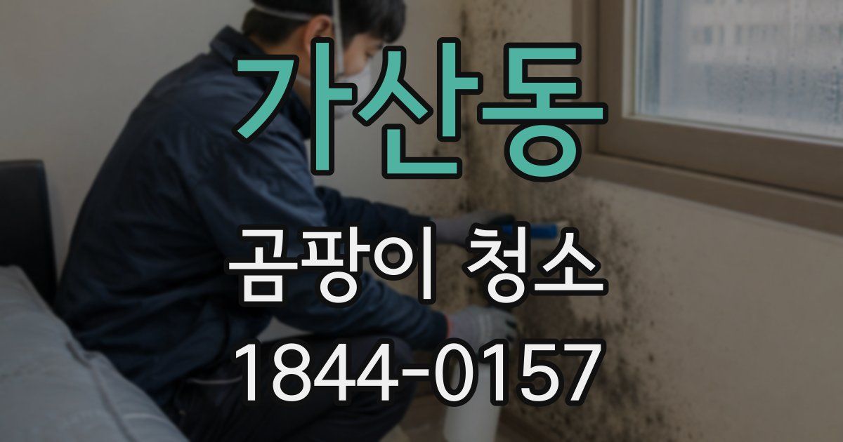 가산동 곰팡이 청소