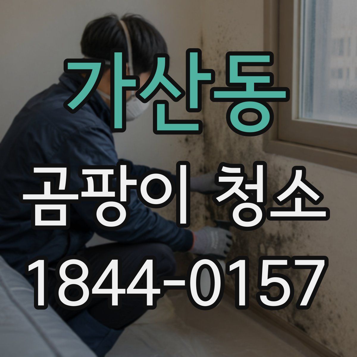 가산동 곰팡이 청소