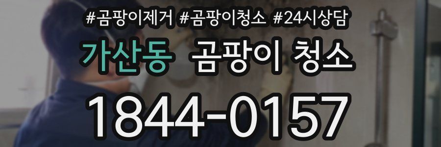 가산동 곰팡이 청소