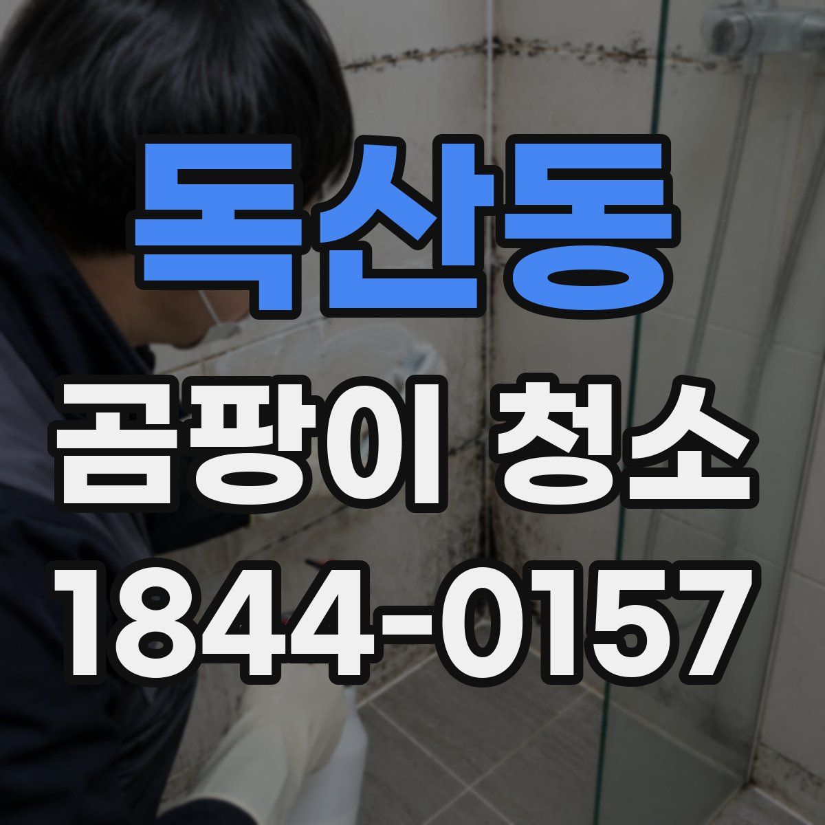 독산동 곰팡이 청소
