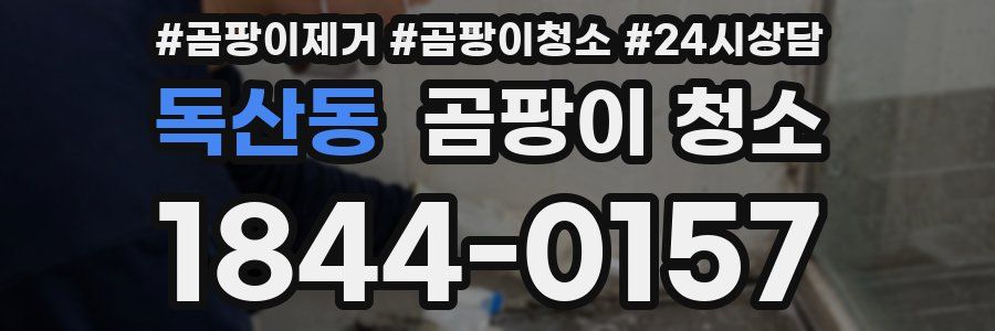 독산동 곰팡이 청소