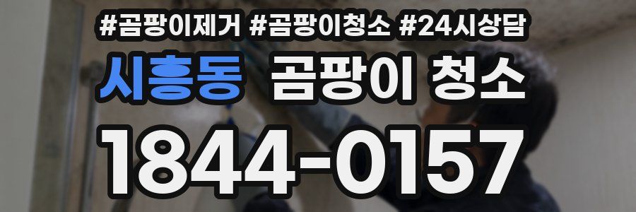 시흥동 곰팡이 청소