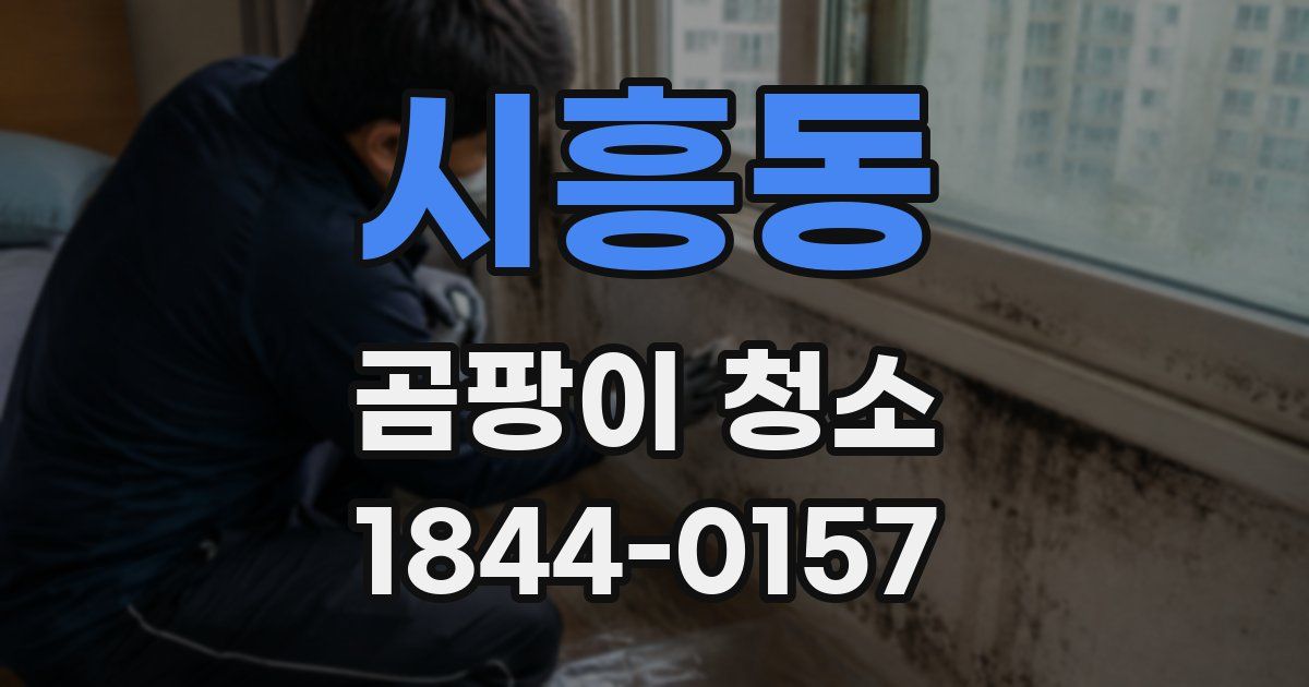 시흥동 곰팡이 청소