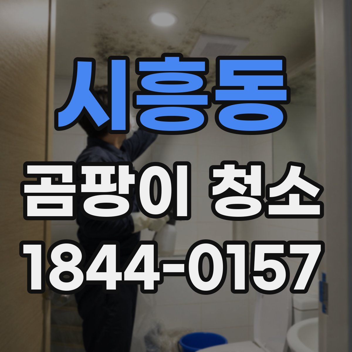 시흥동 곰팡이 청소
