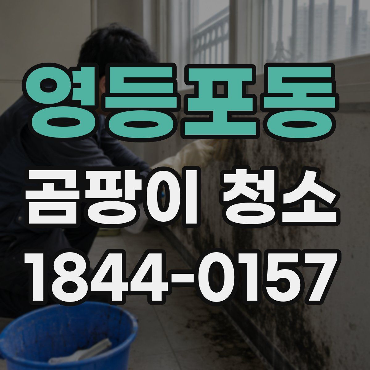 영등포동 곰팡이 청소