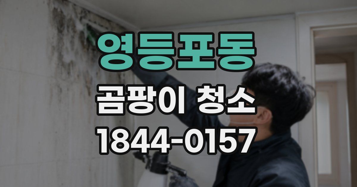 영등포동 곰팡이 청소