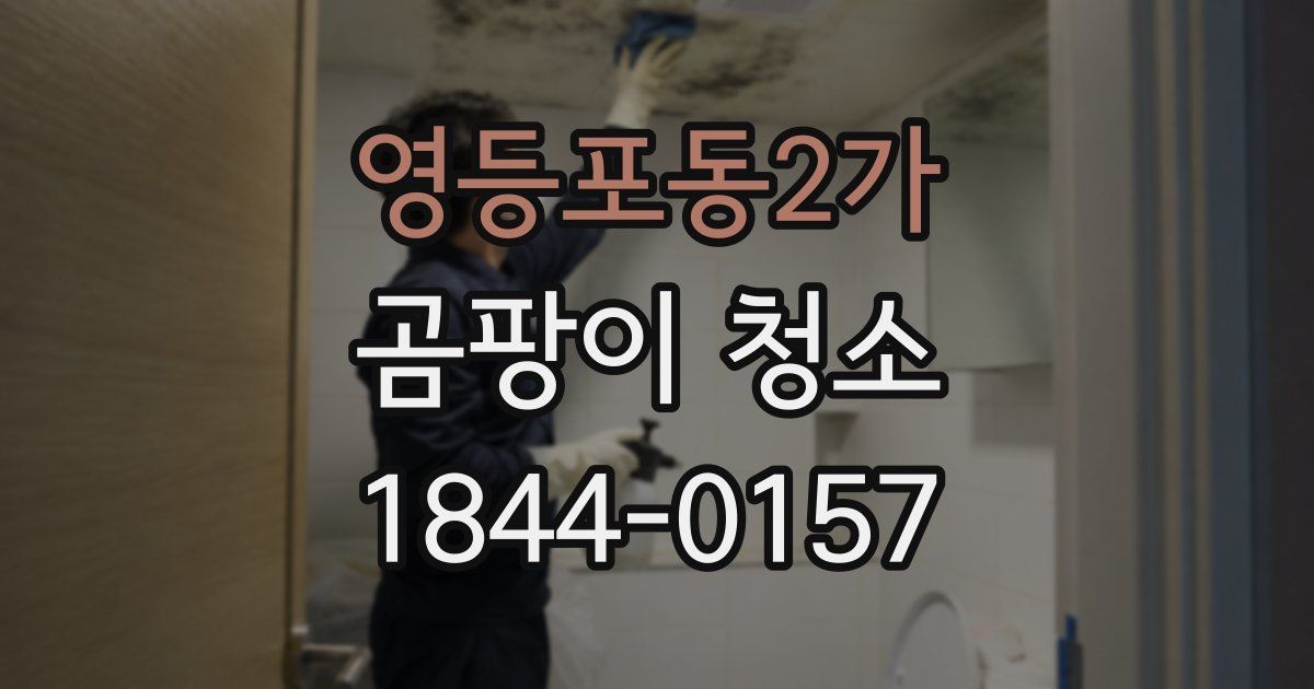 영등포동2가 곰팡이 청소