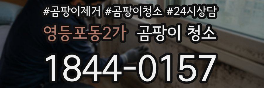 영등포동2가 곰팡이 청소