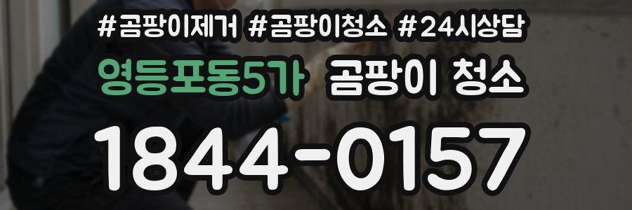 영등포동5가 곰팡이 청소
