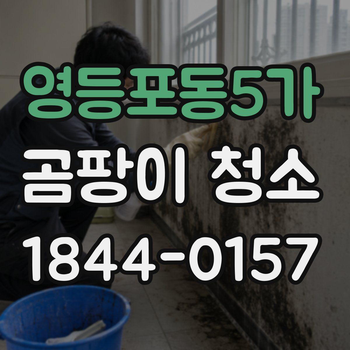 영등포동5가 곰팡이 청소
