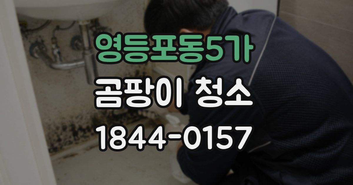 영등포동5가 곰팡이 청소