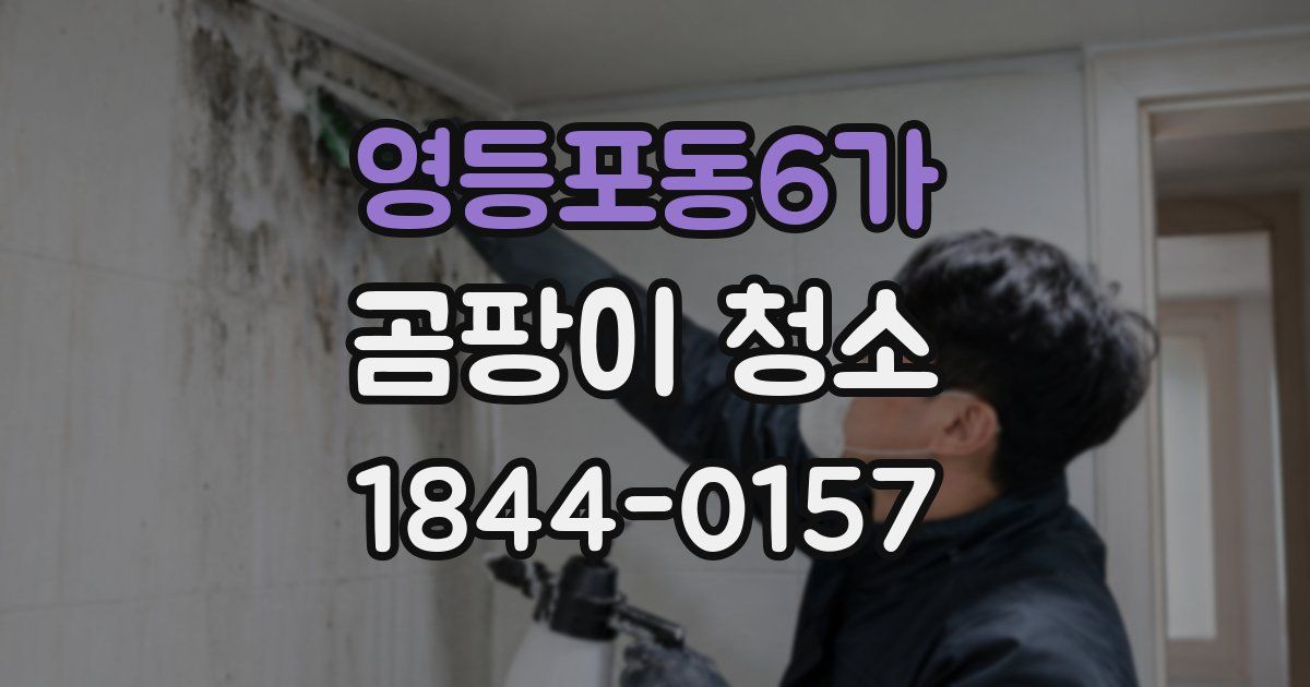영등포동6가 곰팡이 청소