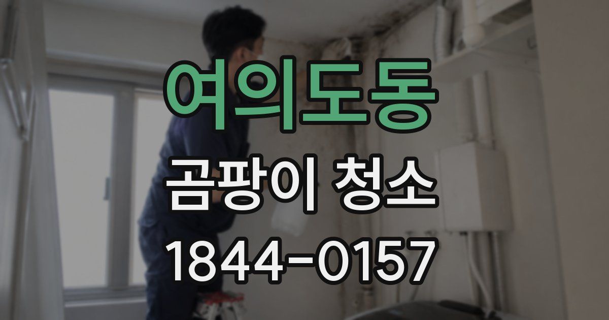 여의도동 곰팡이 청소