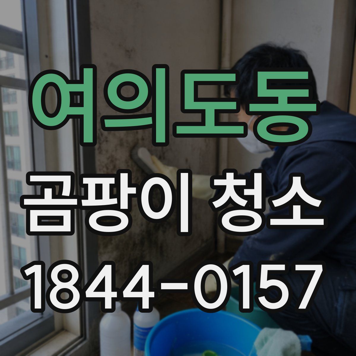 여의도동 곰팡이 청소