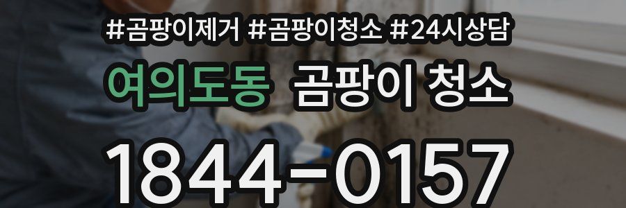 여의도동 곰팡이 청소