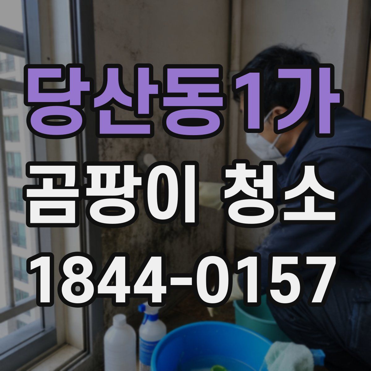 당산동1가 곰팡이 청소