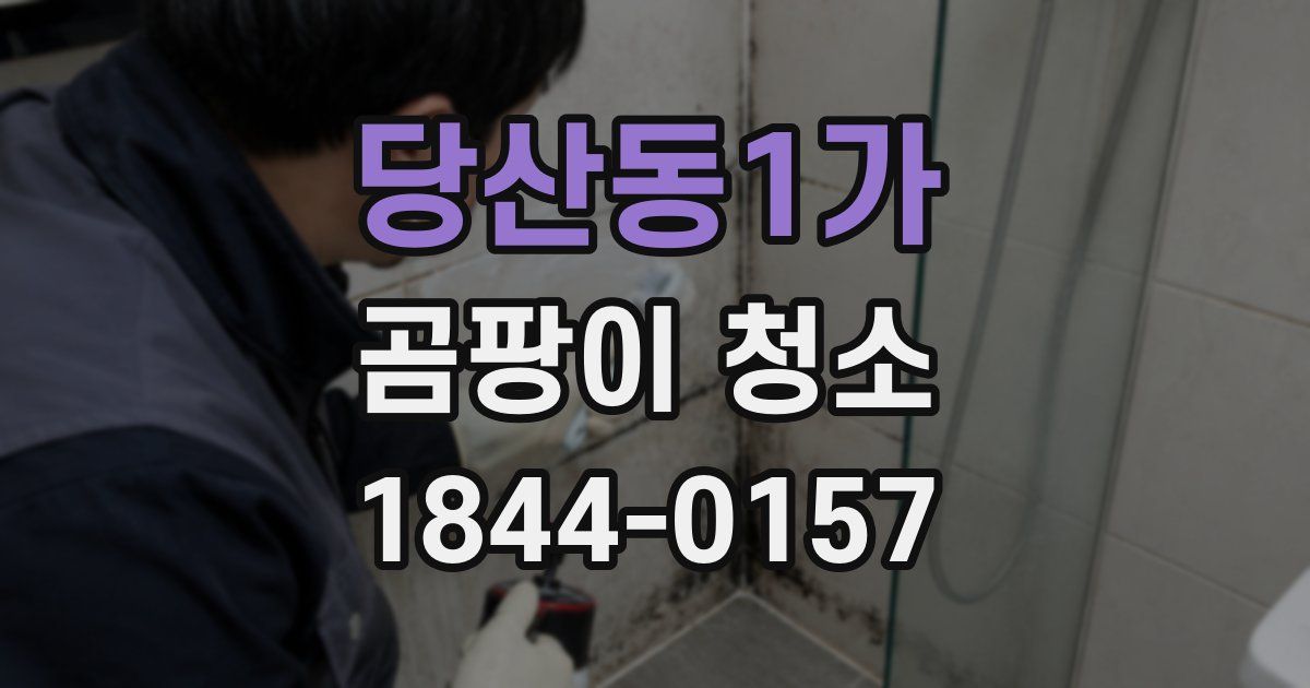 당산동1가 곰팡이 청소