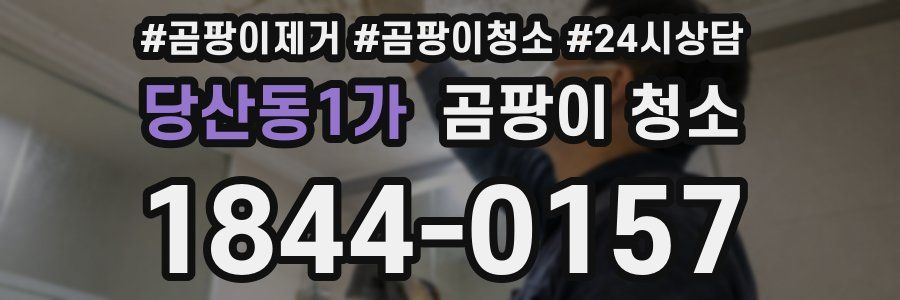 당산동1가 곰팡이 청소