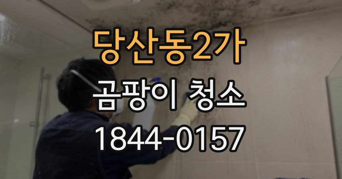 당산동2가 곰팡이 청소