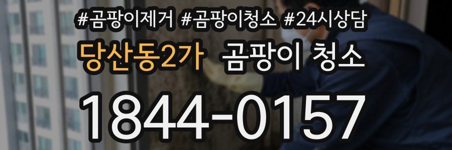 당산동2가 곰팡이 청소
