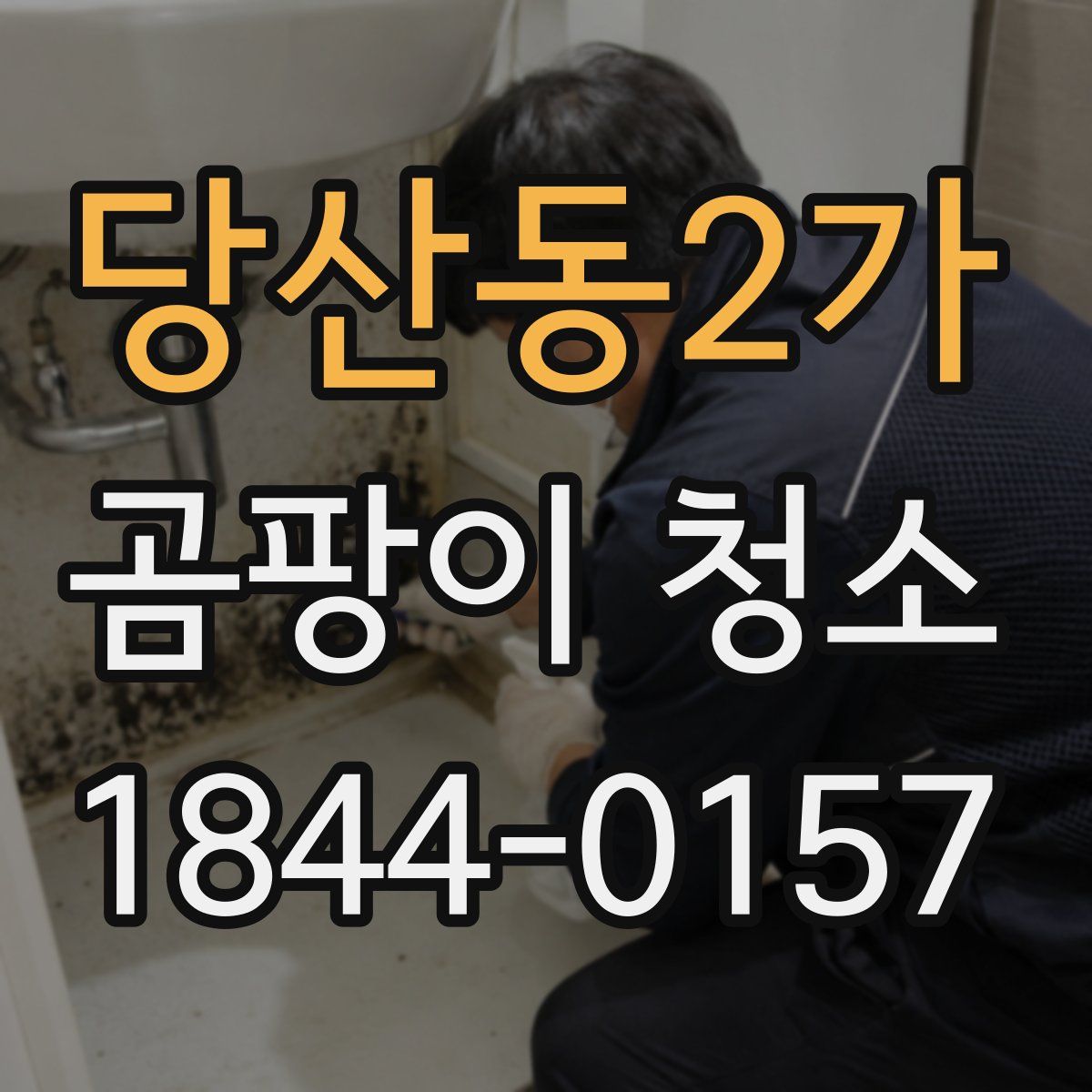 당산동2가 곰팡이 청소