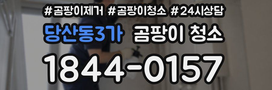 당산동3가 곰팡이 청소