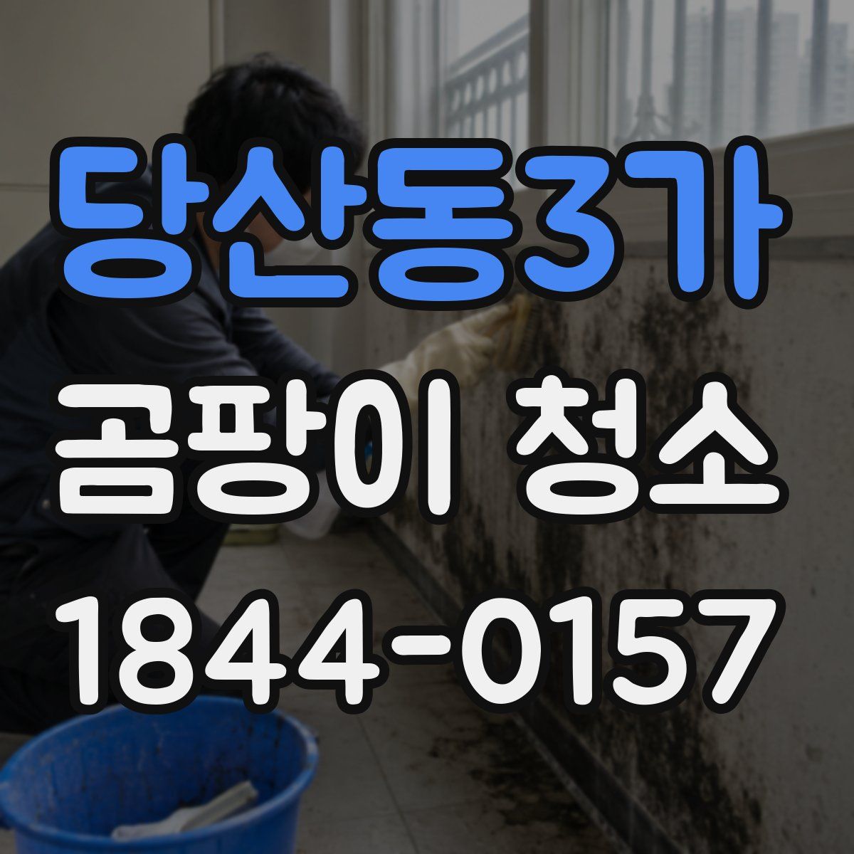 당산동3가 곰팡이 청소