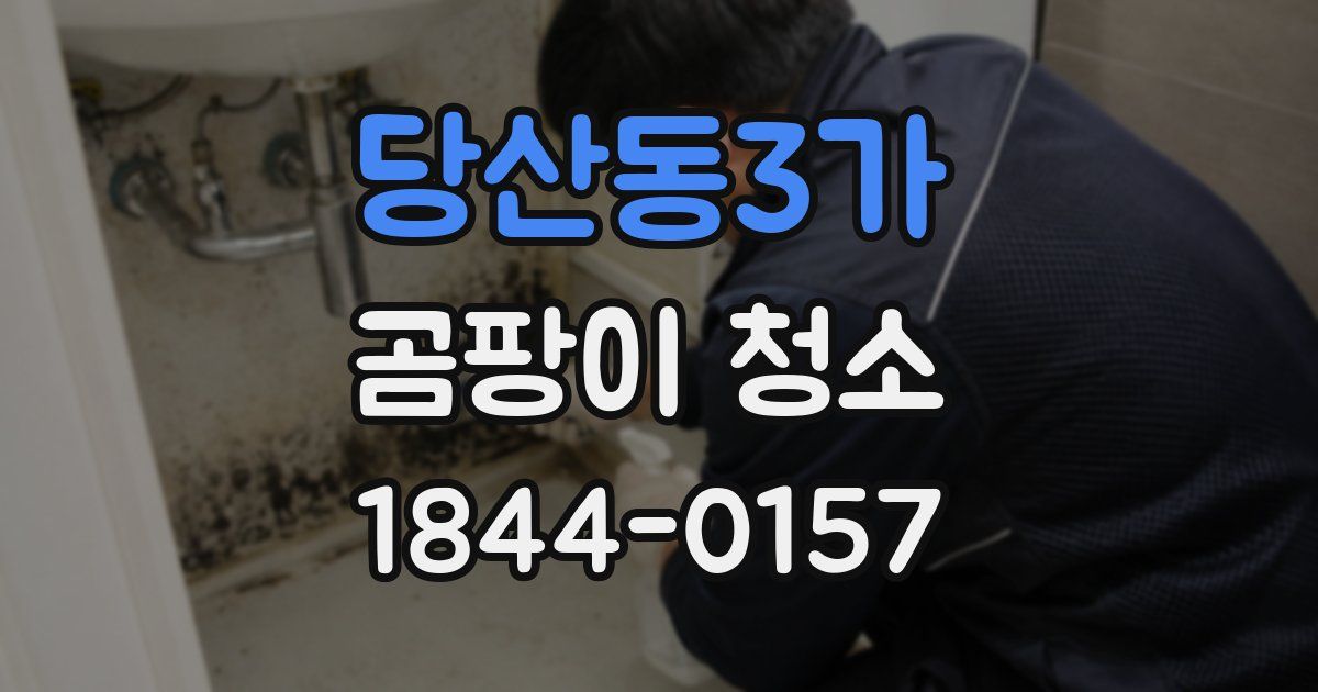 당산동3가 곰팡이 청소
