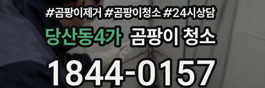 당산동4가 곰팡이 청소