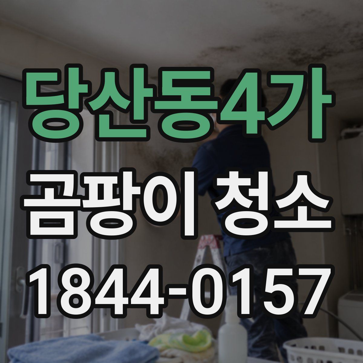 당산동4가 곰팡이 청소