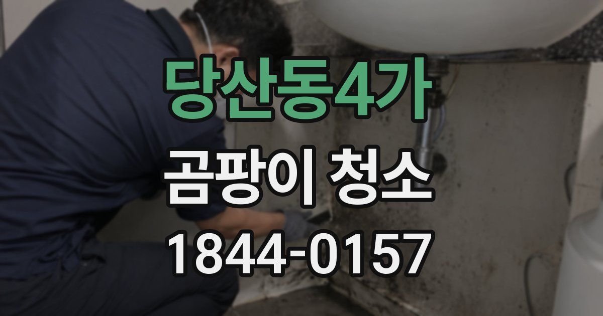 당산동4가 곰팡이 청소
