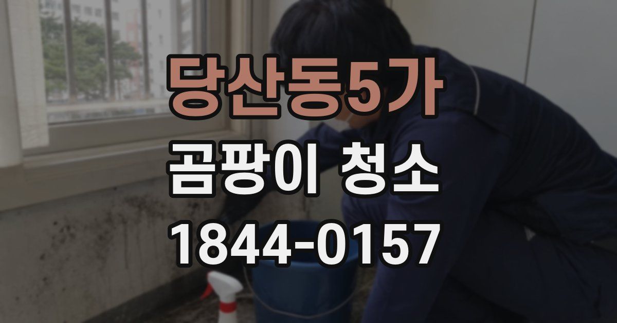당산동5가 곰팡이 청소