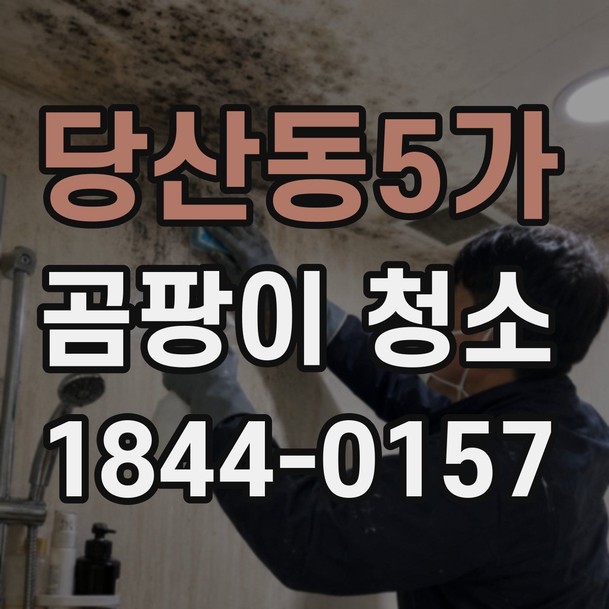 당산동5가 곰팡이 청소