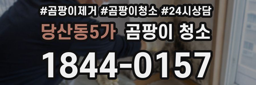 당산동5가 곰팡이 청소