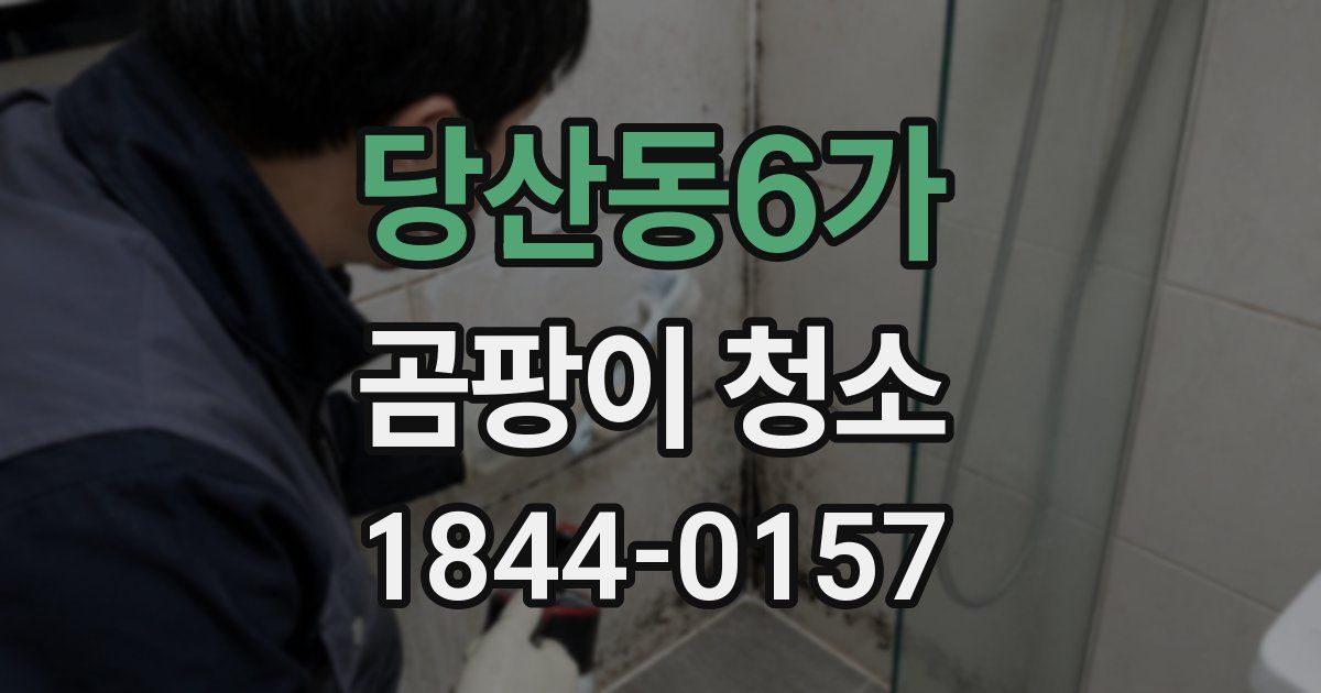 당산동6가 곰팡이 청소