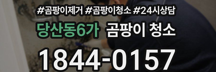 당산동6가 곰팡이 청소