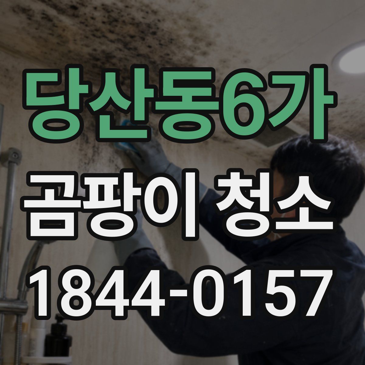 당산동6가 곰팡이 청소