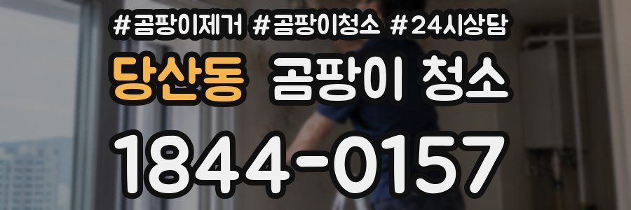 당산동 곰팡이 청소