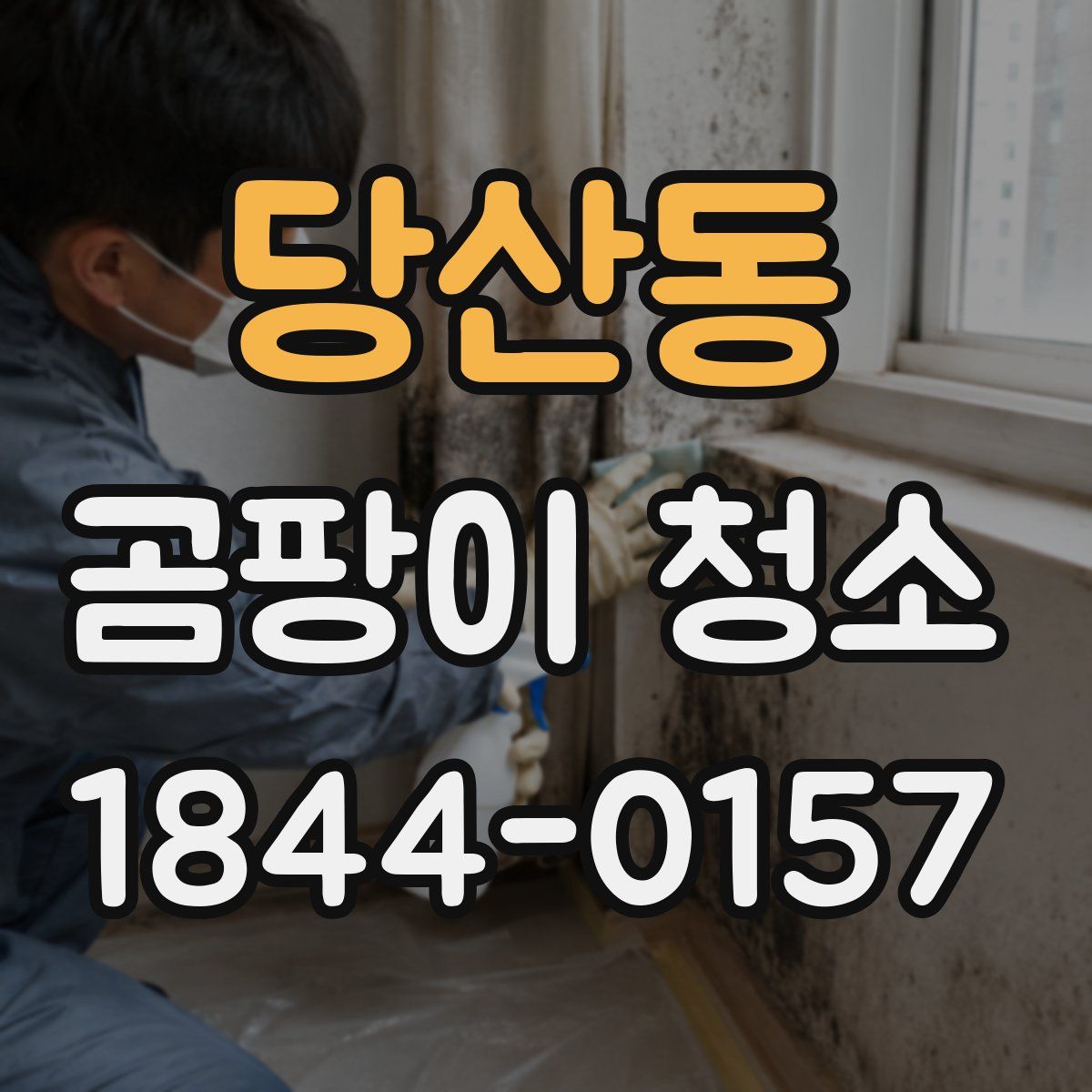당산동 곰팡이 청소