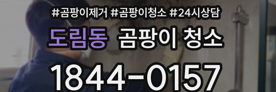 도림동 곰팡이 청소