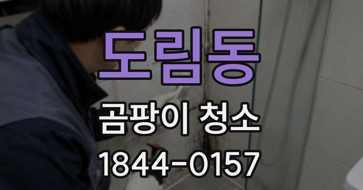 도림동 곰팡이 청소