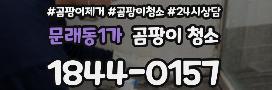 문래동1가 곰팡이 청소