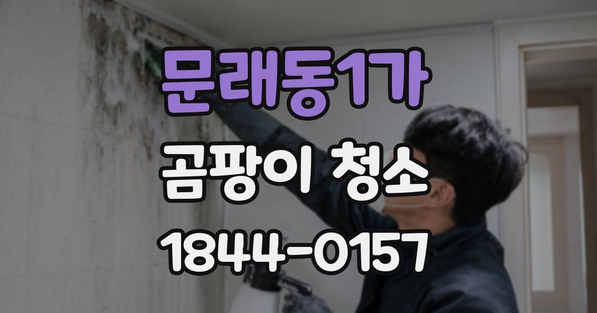 문래동1가 곰팡이 청소