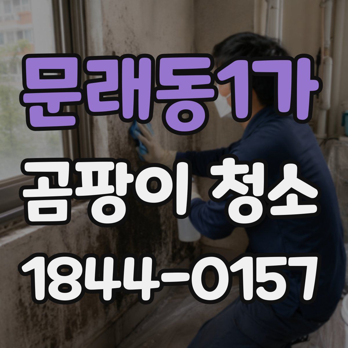 문래동1가 곰팡이 청소